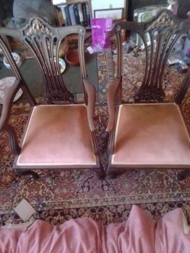 Pair queen anne - queen, style